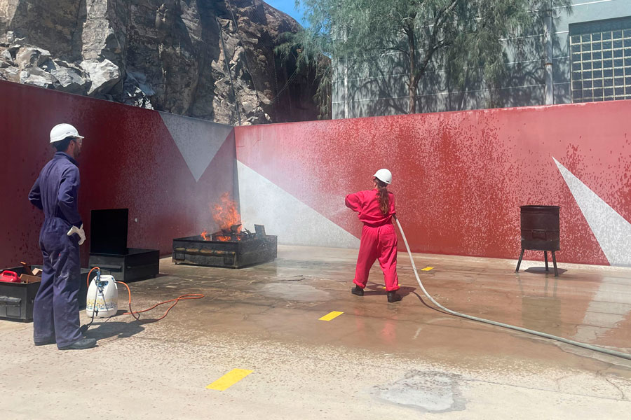 Professional Training for Dangerous Goods Handling